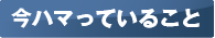 今ハマっていること