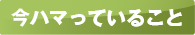 今ハマっていること